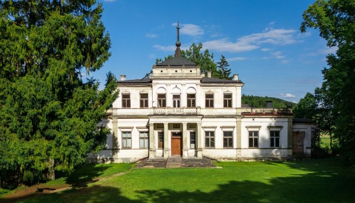 Château à vendre Sancygniów, Sainte-Croix