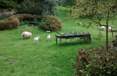 Manoir à vendre Lure, Rue Kleber 8, Bourgogne-Franche-Comté, Image 32/60