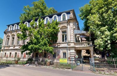 Manoir à vendre Elsteraue, Bornitzer Weg 01, Saxe-Anhalt, Ein-Herrenhaus-mit-Seele-Geschichte-Charakter-und-auergewohnliche-Perspektiven (10)