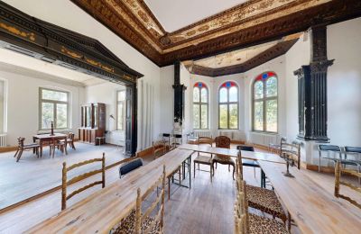 Manoir à vendre Elsteraue, Bornitzer Weg 01, Saxe-Anhalt, Ein-Herrenhaus-mit-Seele-Geschichte-Charakter-und-auergewohnliche-Perspektiven (46)