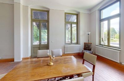 Manoir à vendre Elsteraue, Bornitzer Weg 01, Saxe-Anhalt, Ein-Herrenhaus-mit-Seele-Geschichte-Charakter-und-auergewohnliche-Perspektiven (34)