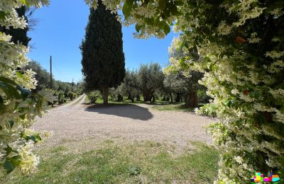 Demeure historique à vendre 06061 Castiglione del Lago, localita croce 2, Ombrie, Image 32/38