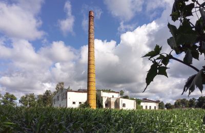Propriété historique à vendre Wioska, Cujavie-Poméranie, Image 1/19