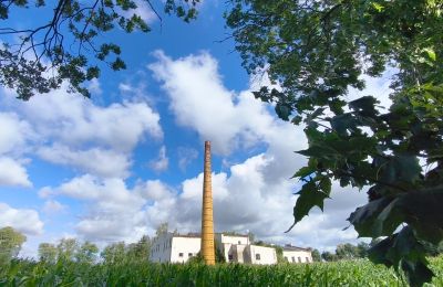 Propriété historique à vendre Wioska, Cujavie-Poméranie, Image 15/19