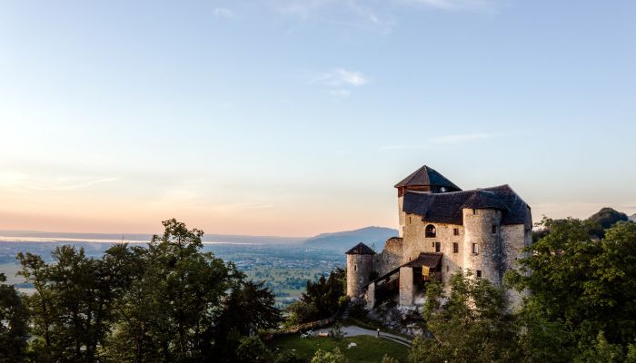 Château à vendre 6845 Hohenems, Vorarlberg