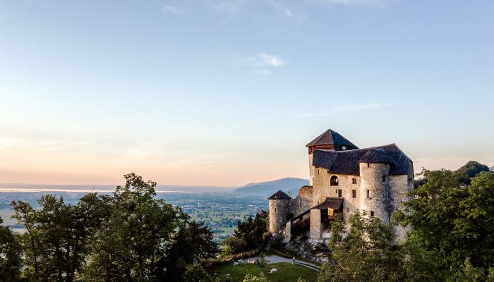 Château à vendre 6845 Hohenems, Vorarlberg