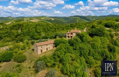 Maison de campagne à vendre 06026 Pietralunga, Ombrie, Image 9/53