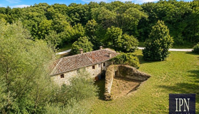  Cortona 4