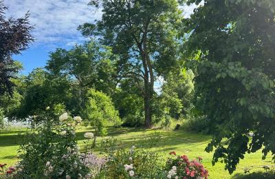 Château médiéval à vendre 18513 Glewitz, Turow 19, Mecklembourg-Poméranie-Occidentale, Image 50/100