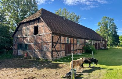 Château médiéval à vendre 18513 Glewitz, Turow 19, Mecklembourg-Poméranie-Occidentale, Image 82/100