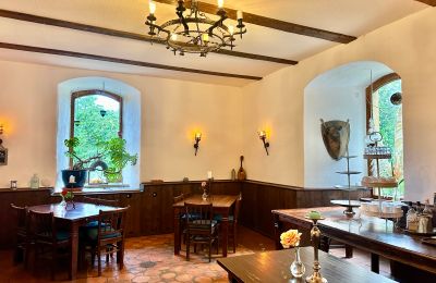 Château médiéval à vendre 18513 Glewitz, Turow 19, Mecklembourg-Poméranie-Occidentale, der Rittersaal