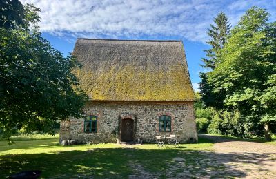Château médiéval à vendre 18513 Glewitz, Turow 19, Mecklembourg-Poméranie-Occidentale, Image 63/100