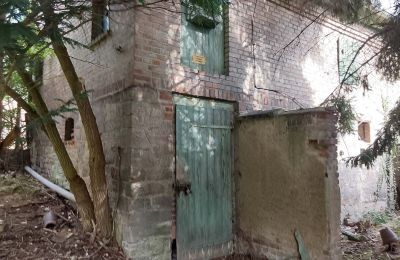 Propriété historique à vendre 06686 Lützen, Leipziger Straße 13, Saxe-Anhalt, Historische-Wassermuhle-von-Franz-Stockchen-direkt-am-Rippach (16)