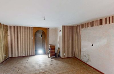 Propriété historique à vendre 06686 Lützen, Leipziger Straße 13, Saxe-Anhalt, Historische-Wassermuhle-von-Franz-Stockchen-direkt-am-Rippach (39)