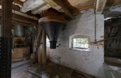 Propriété historique à vendre 06686 Lützen, Leipziger Straße 13, Saxe-Anhalt, Historische-Wassermuhle-von-Franz-Stockchen-direkt-am-Rippach (26)