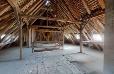 Propriété historique à vendre 06686 Lützen, Leipziger Straße 13, Saxe-Anhalt, Historische-Wassermuhle-von-Franz-Stockchen-direkt-am-Rippach (42)