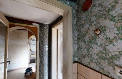 Propriété historique à vendre 06686 Lützen, Leipziger Straße 13, Saxe-Anhalt, Historische-Wassermuhle-von-Franz-Stockchen-direkt-am-Rippach (33)