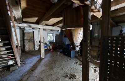 Propriété historique à vendre 06686 Lützen, Leipziger Straße 13, Saxe-Anhalt, Historische-Wassermuhle-von-Franz-Stockchen-direkt-am-Rippach (27)