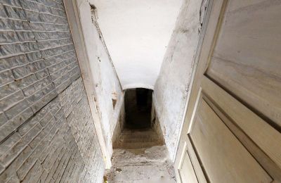 Propriété historique à vendre 06686 Lützen, Leipziger Straße 13, Saxe-Anhalt, Historische-Wassermuhle-von-Franz-Stockchen-direkt-am-Rippach (30)