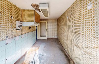 Propriété historique à vendre 06686 Lützen, Leipziger Straße 13, Saxe-Anhalt, Historische-Wassermuhle-von-Franz-Stockchen-direkt-am-Rippach (64)