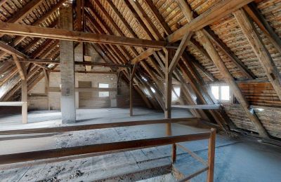 Propriété historique à vendre 06686 Lützen, Leipziger Straße 13, Saxe-Anhalt, Historische-Wassermuhle-von-Franz-Stockchen-direkt-am-Rippach (45)