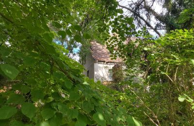 Propriété historique à vendre 06686 Lützen, Leipziger Straße 13, Saxe-Anhalt, Historische-Wassermuhle-von-Franz-Stockchen-direkt-am-Rippach (8)