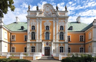 Château à vendre Czempiń, Grande-Pologne, Image 15/19