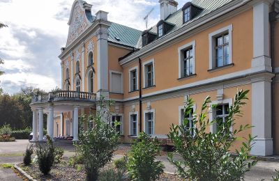 Château à vendre Czempiń, Grande-Pologne, Image 19/19