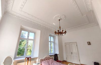 Château à vendre Czempiń, Grande-Pologne, Image 10/19