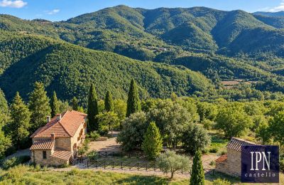 Maison de campagne à vendre Santa Maria alla Rassinata, Toscane, Image 10/42
