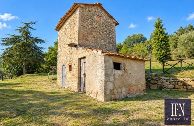 Maison de campagne à vendre Santa Maria alla Rassinata, Toscane, Image 19/42