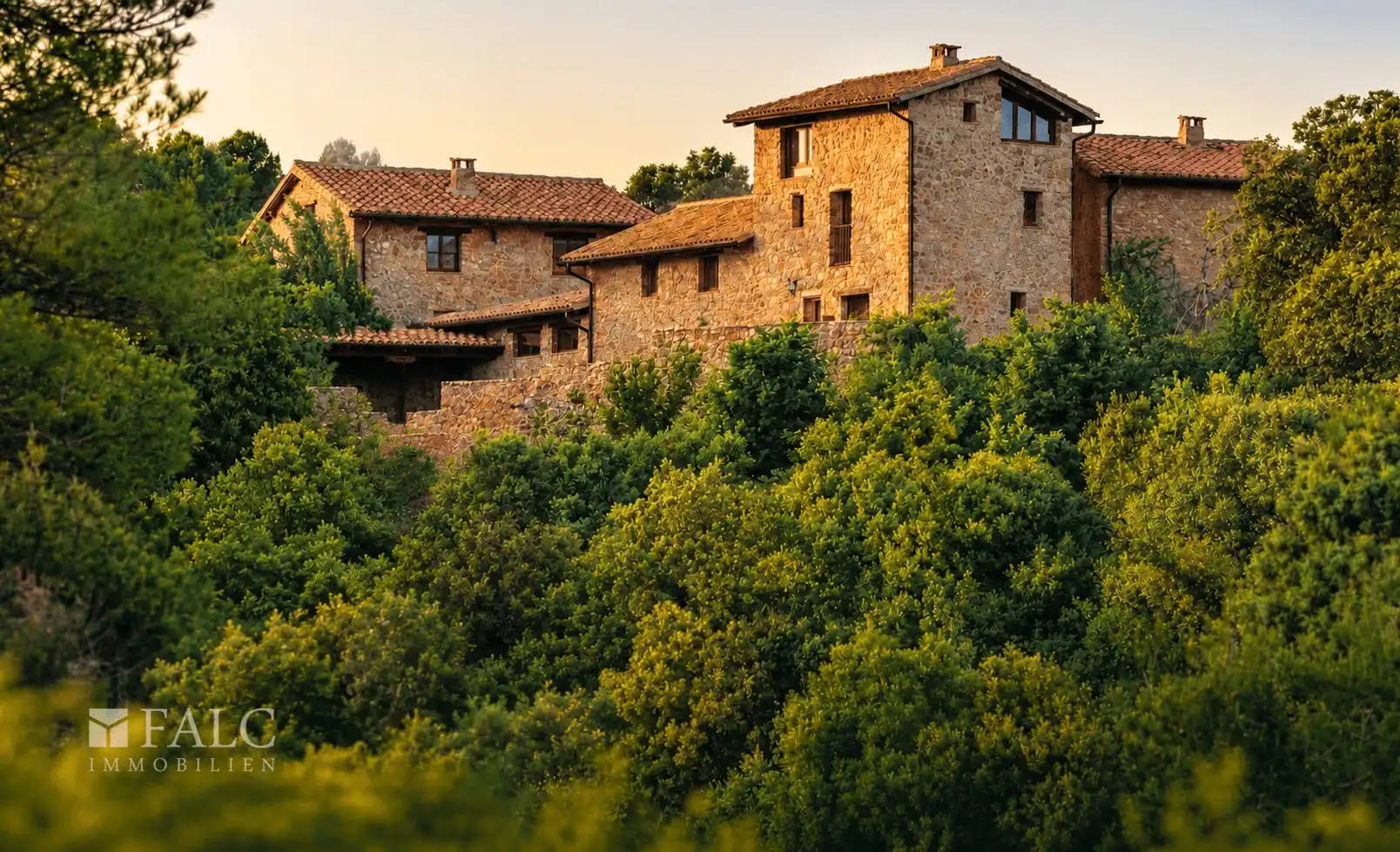 Photos Hameau en Aragon avec 4 maisons en pierre restaurées et 5 ha de terrain naturel près de San Agustín
