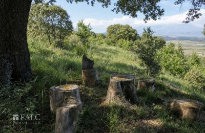 Propriété historique à vendre San Agustín, Aragon, Image 16/27