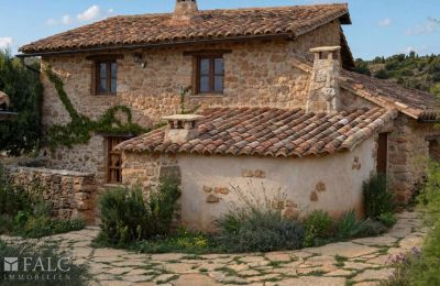 Propriété historique à vendre San Agustín, Aragon, Image 2/27