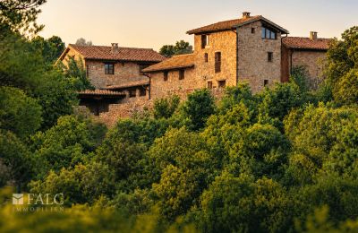Propriété historique à vendre San Agustín, Aragon, Image 1/27