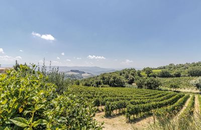 Maison de campagne à vendre Montecatini Val di Cecina, Toscane, Image 38/50