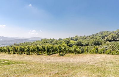 Maison de campagne à vendre Montecatini Val di Cecina, Toscane, Image 48/50