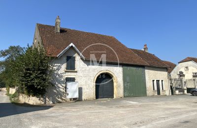 Immobilier historique à vendre Vesoul:  