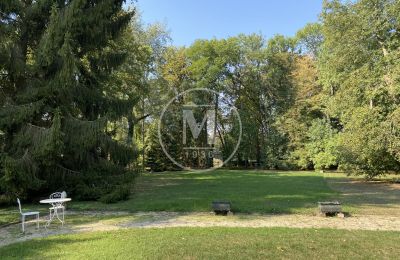 Immobilier historique à vendre Vesoul:  