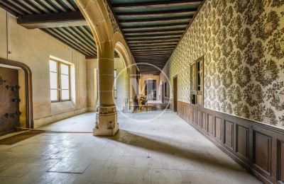 Immobilier historique à vendre Luzy:  