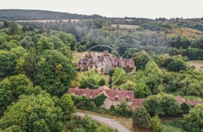 Immobilier historique à vendre Luzy:  