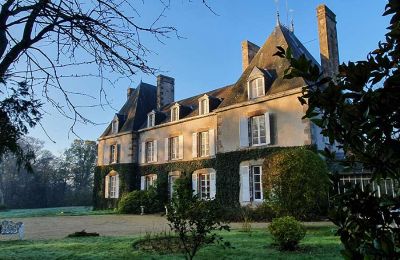 Immobilier historique à vendre Mayenne:  