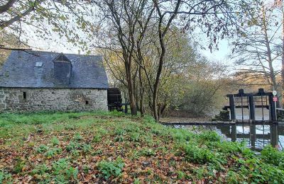 Immobilier historique à vendre Mayenne:  