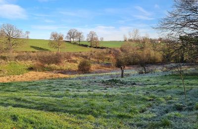 Immobilier historique à vendre Allier:  