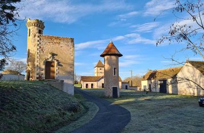 Immobilier historique à vendre Allier:  