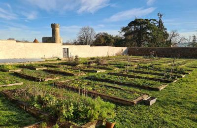 Immobilier historique à vendre Allier:  