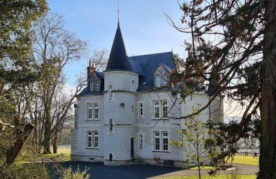 Immobilier historique à vendre Allier:  