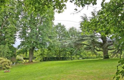 Immobilier historique à vendre Vienne:  