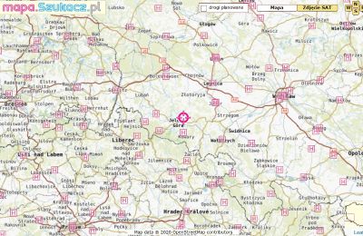 Immobilier historique à vendre Dziwiszów:  