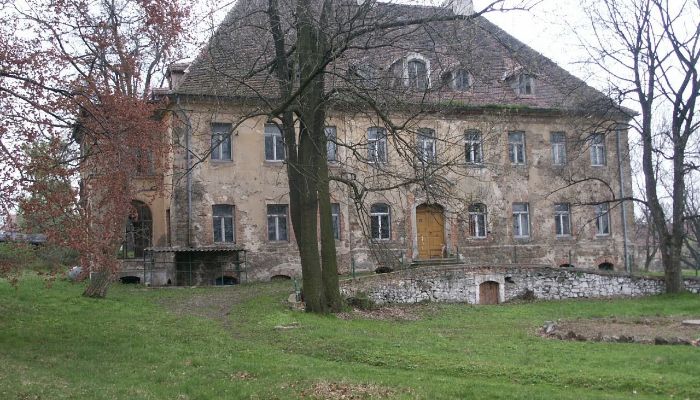 Château Kostrzyna 4
